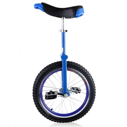 aedouqhr Bike aedouqhr 24inch Unicycle for Adults / Beginner / Men, Skidproof Butyl Tire Wheel, Steel Frame, for Trek Fitness Exercise, Over 200 Lbs (Color : Blue)