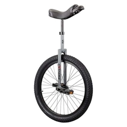 SUN BICYCLES  Flat Top Extreme DX Matte Gray 2014 20 Inch
