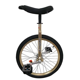 FMOPQ Bike FMOPQ 20" / 24" Gold Unicycle for Big Kid / Teen / Adults / Female / Male for Fitness Exercise Beginner Skid Proof Wheel Alloy Rim Bike (Size : 24INCH)