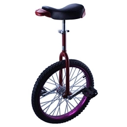 LRBBH Bike Kids Unicycle, Adjustable Balance Cycling Exercise Competitive Single Wheel Bicycle Skidproof Tire Suitable Height 120-140CM / 16 inches / Purple