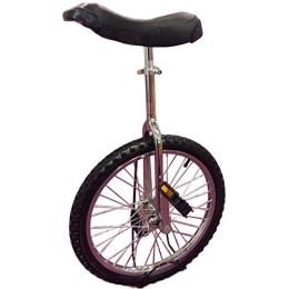 LoJax Unicycles LoJax Kid's / Adult's Trainer Unicycle 20 Inch Unicycle for Big Kids / Adults, Adjustable Outdoor Unicycle with Heavy Duty Steel Frame and Alloy Rim Wheel, Best Birthday Gift (Silver 20 inch)
