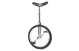 Raleigh Unicycles Raleigh ARU005 Unicycle - Chrome, Junior Bikes
