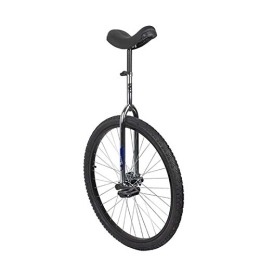 SUN BICYCLES  SUN BICYCLES Sun 28 Inch Classic Chrome / Black Unicycle
