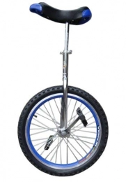 OEM Unicycles Unicycle 20" In & Out Door Chrome clolored, Brand New!