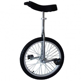 YYLL Bike YYLL 20 Inch Unicycle Single-wheel Competitive Bicycle for Adult Exercise Bike Acrobatic Bike, Steel Ring Aluminum Alloy Ring Optional (Color : Aluminum ring, Size : 20Inch)