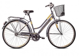 breluxx City breluxx® 28 Zoll Damenfahrrad Amsterdam, 1 Gang, Rücktrittbremse, Citybike mit Korb + Beleuchtung, Retro Bike, antrazit - Modell 2020