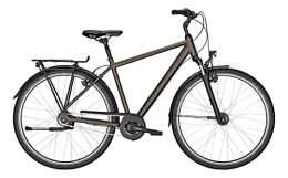 Derby Cycle Fahrräder Kalkhoff Image HS R City Bike 2022 (28" Herren Diamant L / 55cm, Crystalgrey Matt (Herren))