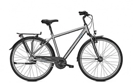 Raleigh Fahrräder RALEIGH Chester 8, 8 Gang Nabenschaltung, Herrenfahrrad, Diamant, Modell 2020, 28 Zoll, Steelgrey matt, 55 cm