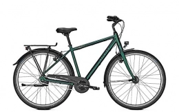 Raleigh Fahrräder RALEIGH Devon HS Urban Bike 2020 (60 cm, Kombugreen matt (Herren))