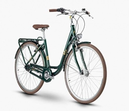 R Raymon  RAYMON Classicray 2.0 Unisex Retro City Fahrrad grün 2020: Größe: 43 cm