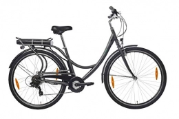 Teutoburg Fahrräder Teutoburg Senne Pedelec Citybike leicht Elektrofahrrad, 28 Zoll, mit 7-Gang Shimano Kettenschaltung, 250W und 10, 4 Ah / 36 V Lithium-Ionen-Akku
