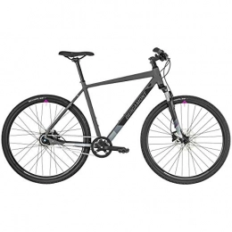 Bergamont Fahrräder Bergamont Helix N8 Cross Trekking Fahrrad grau / schwarz 2019: Gre: 60cm (186-201cm)