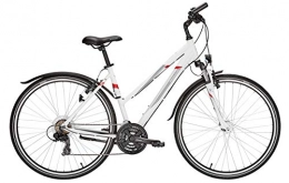 ZEG Fahrräder Damen Fahrrad 28 Zoll - Pegasus Avanti Sport Trekkingrad - Shimano 21-Gang Kettenschaltung, STVZO Beleuchtung
