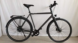 Rabeneick Fahrräder Rabeneick TS5 Shimano Nexus 8-Gang Trekking Bike 2020 (28" Herren Diamant 55cm, Slate matt)