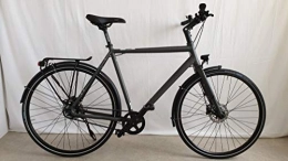 Rabeneick Fahrräder Rabeneick TS5 Shimano Nexus 8-Gang Trekking Bike 2020 (28" Herren Diamant 60cm, Slate matt)