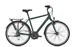 Raleigh Fahrräder RALEIGH Chester 27, 27 Gang Kettenschaltung, Herrenfahrrad, Diamant, Modell 2020, 28 Zoll, kombugreen matt, 55 cm
