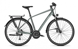 Raleigh Fahrräder RALEIGH Rushhour 3.0 Trekking Bike 2020 (28" Herren Diamant L / 55cm, Techgreen matt)