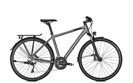 Raleigh Fahrräder RALEIGH Rushhour Edition Trekking Bike 2019 (28" Herren Diamant L / 55cm, Irongrey matt Herren)
