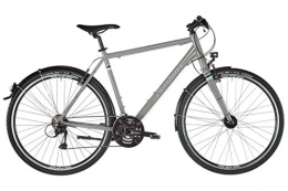 Serious Fahrräder SERIOUS Cedar S Hybrid Grey Rahmenhhe 56cm 2019 28