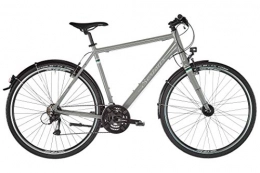 Serious Fahrräder SERIOUS Cedar S Hybrid Grey Rahmenhöhe 52cm 2019 28