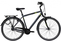 ZEG Fahrräder ZEG Pegasus Piazza 21 Herrenfahrrad 21 Gang Trekkingrad 2020, Rahmenhöhe:58 cm, Farbe:grau