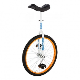 Kettler Fahrräder Kettler 0T05030-5000 - Einrad Authentic 24 Zoll, blau