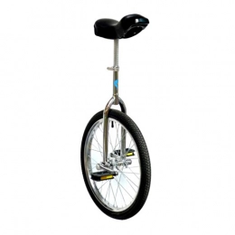Passe Passe Fahrräder PassePasse Einrad Luxus Design 20Zoll (50cm) Fuer Kinder von 12 bis 17 Jahren empfohlen.