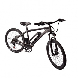 Fbewan Elektrofahrräder 26" 250W elektrisches Fahrrad elektrisches Fahrrad für Erwachsene High 3 Speed ​​Gear Speed ​​Bike Abnehmbarer Wasserdicht 36V 9.6a Lithium-Batterie und Ladegerät
