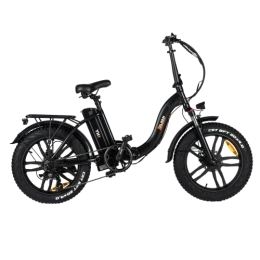 2Flash Elektrofahrräder 2Flash Foldable E-Bike | Model YH1 (schwarz)