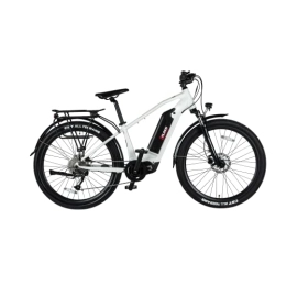 2Flash Fahrräder 2Flash Trekking E-Bike | Model LU1 (Weiss)