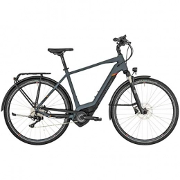 Bergamont Elektrofahrräder Bergamont E-Horizon Edition Pedelec Elektro Trekking Fahrrad grau / schwarz / rot 2019: Gre: 52cm (170-178cm)