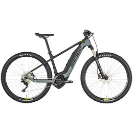 Bergamont Fahrräder Bergamont E-Revox 6 29 Pedelec Elektro MTB grau / schwarz 2019: Gre: M (168-175cm)