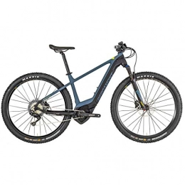Bergamont Fahrräder Bergamont E-Revox Expert 29 Pedelec Elektro MTB Fahrrad grau / schwarz 2019: Gre: L (176-183cm)