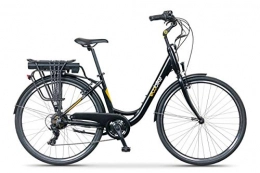 breluxx Fahrräder breluxx® ecobike Basic 28" Damenfahrrad Urban City E-Bike Elektrofahrrad Pedelec 36V, 250W 10.4Ah, 6 Gang Shimano Kettenschaltung, schwarz, Made in EU