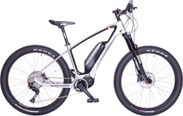 Bärenbikes Fahrräder Bärenbikes Carbon 750 (21'')