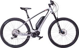 Bärenbikes Fahrräder Bärenbikes Carbon 900 (21'')