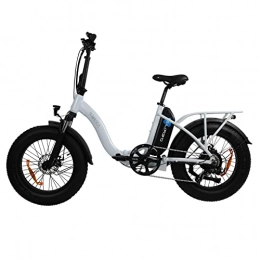 DERUIZ Fahrräder DERUIZ Amber 20 Zoll Elektrofahrrad Schneefahrrad 48V E Bike Erwachsene Electric Bike Herren und Damen