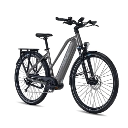DERUIZ Fahrräder DERUIZ E Bike 28 Zoll Elektrofahrrad Mittelmotor, 250W 80Nm E-Citybike, 48V 13.4Ah Lithium-Akku, Shimano 9 Gänge ebike, cityräder 25 km / h bis zu 120 km