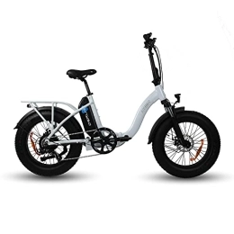 DERUIZ Fahrräder DERUIZ EBIKE Fat Bike E-Bike Pedelec Elektrofahrrad Faltbares Elektrofahrrad, 7-Gang-Getriebe, mit 48V 624Wh Akku, 20 Zoll für Erwachsene (SCHWARZ & Weiss)