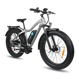 DERUIZ Elektrofahrräder DERUIZ Lava E-Bike 26" Elektrische Fahrräder für Erwachsene Ebikes 48V 750W Herausnehmbarer 13Ah Batterie Dicke Übergroße Reifen Fahrrad Beach Cruiser Fat Bike(Grau)