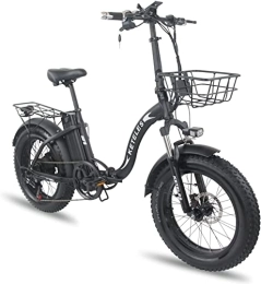 YUEYEQU Fahrräder E-Bike Klapprad 20 Zoll Damen Herren，Elektrofahrrad mit 48V 15A Lithium Akku, 250W Heckmotor，4, 0 Fette Reifen Full Terrain，Shimano 7-Gang