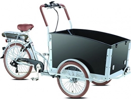 Voozer (Vogue) Fahrräder Elektro - Transportrad Voozer silber- schwarz + gratis Winterset, Fahrfertig montiert