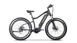 Argento Elektrofahrräder Elephant Pro Fat Mountainbike, silberfarben, Unisex-Räder für Erwachsene, Schwarz, Einheitsgröße