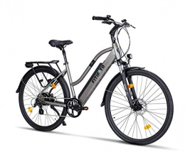 Fitifito Fahrräder Fitifito CT28 Zoll Elektrofahrrad Citybike E-Bike Pedelec, 36V 250W Heckmotor, 16Ah 576Wh LG Cells Lithium-Ionen USB 7 Gang Shimano Schaltung (Grau)