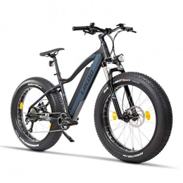 Fitifito FT26 Elektrofahrrad Fatbike E-Bike Pedelec, 48V 250W Bafang Cassette Heckmotor, 48V 13Ah 624W Samsung Akku, hydraulische Bremsen, Büchel Scheinwerfer
