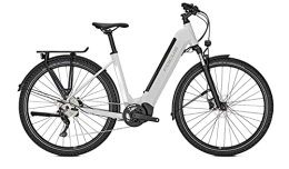 Derby Cycle Elektrofahrräder Focus Planet² 6.8 Bosch 625Wh Elektro Trekking Bike (29" Wave M / 48cm, Light Grey (Wave))