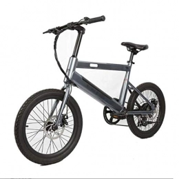 FZYE Elektrofahrräder FZYE 20 Zoll Elektrofahrräder Bike, 36V350W Boost Bicycle Adult Fahrräder 5 Gänge Unterstützensport Outdoor Freizeit