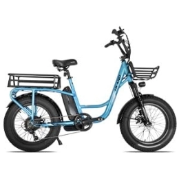HH HILAND Fahrräder HILAND 20 Zoll Fat Tire Cargo E-Bike für Erwachsene, leistungsstarker 48V Motor 15AH abnehmbare Batterie Elektrofahrrad, Shimano 7 Gänge, Leichter Aluminiumrahmen mit Federgabel