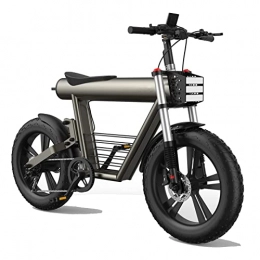 LWL Fahrräder LWL elektrofahrrad Elektrische Fahrrad 800W for Erwachsene Elektrische Berg Retro-Fahrrad 20 Zoll Fettreifen Elektrische Fahrrad mit 60V 20Ah-Lithium-Batterie Ebike (Farbe : Grau, Gears : 7Speed)
