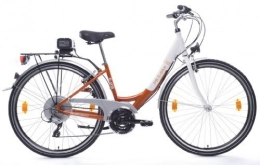 Power Bike Fahrräder PB Elektrofahrrad City Lady, mit BIFS III, 24V / 11, 6Ah Akku, orange / weiss